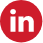 LinkedIn icon